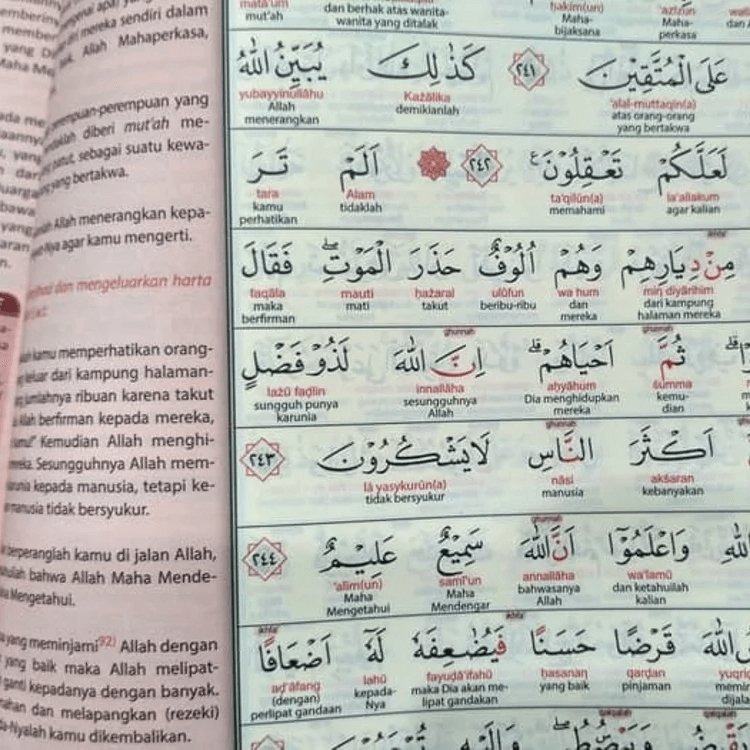 Al-Quran Al Hadi - Muslim Lifestyle Marketplace | esouq.co